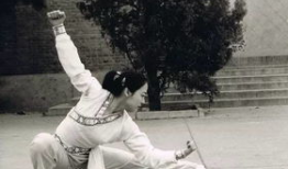 八卦掌视频,视频解析传统武术奥秘